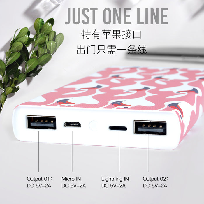 XO PB28 Powerbank 1300mAh For Micro and Type-C with 3D Color Drawing Printing
